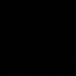 Meet your Posher, Susie